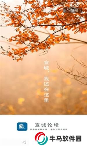 宣城論壇百姓視點(diǎn)
